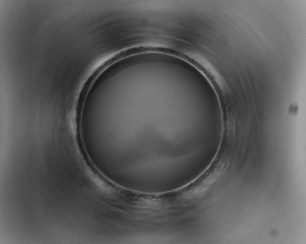 X0000102840935200808181344