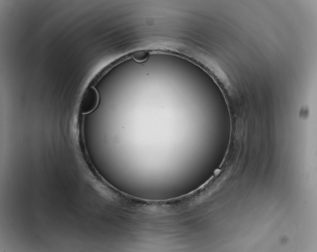 X0000102840936200808181344