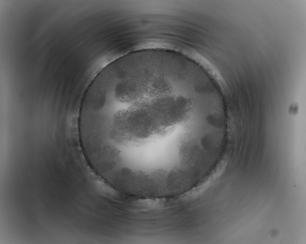 X0000102840937200808181344