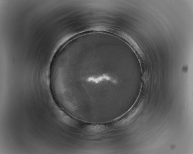 X0000102840939200808181344