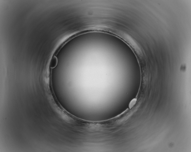 X0000102840940200808181344