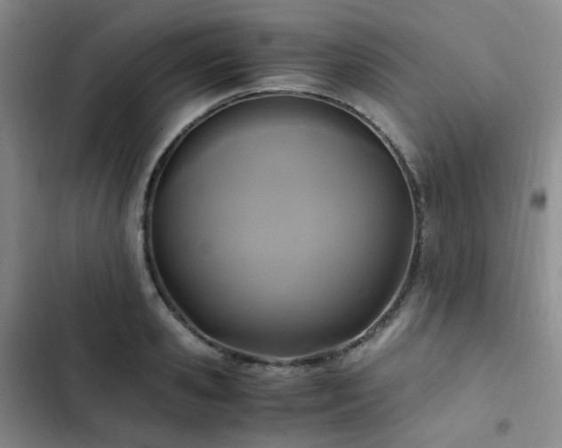 X0000102840941200808181344