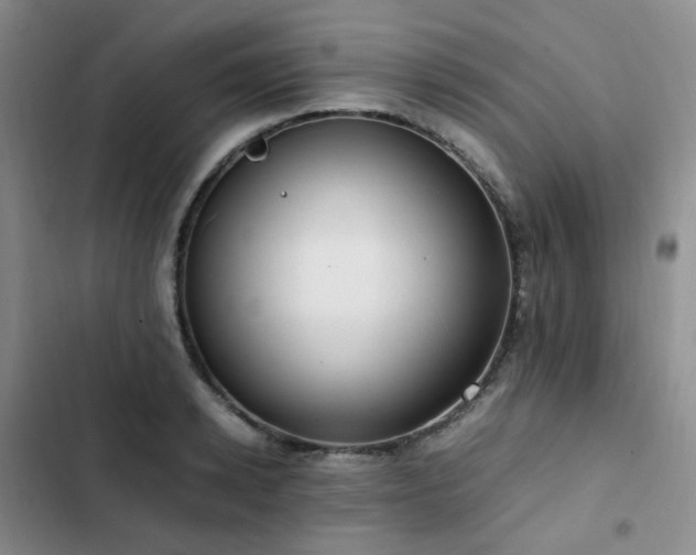 X0000102840942200808181344