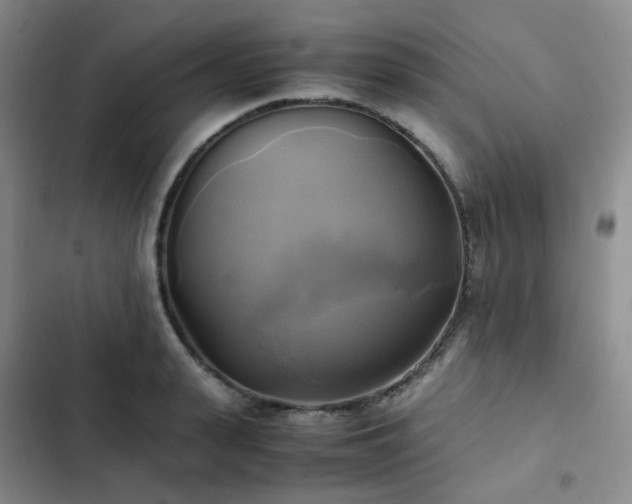 X0000102840943200808181345