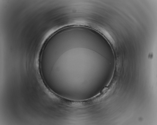 X0000102840944200808181345