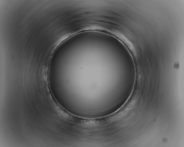 X0000102840945200808181345