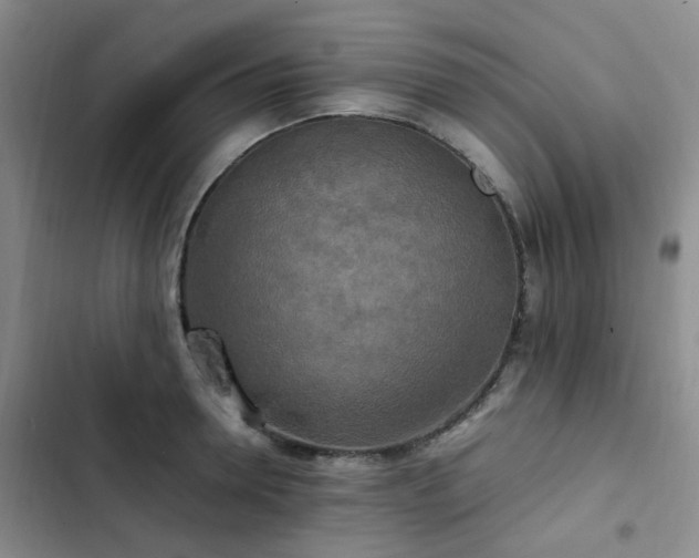 X0000102840946200808181345