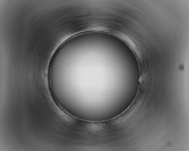 X0000102840947200808181345