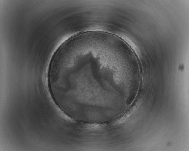 X0000102840949200808181345