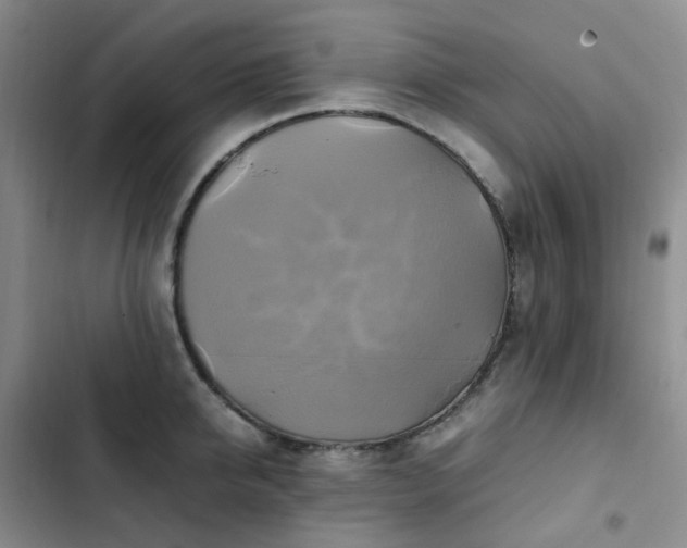 X0000102840950200808181345