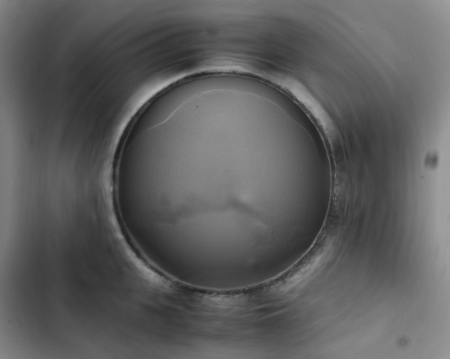 X0000102840951200808181345