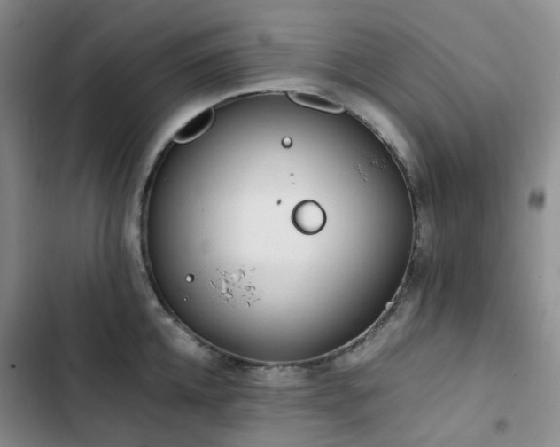 X0000102840952200808181345