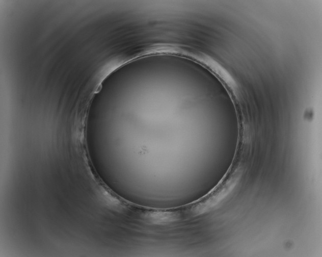 X0000102840953200808181345