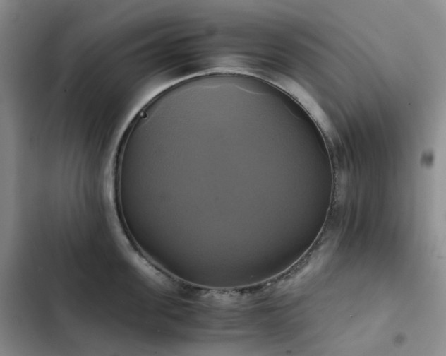 X0000102840955200808181345