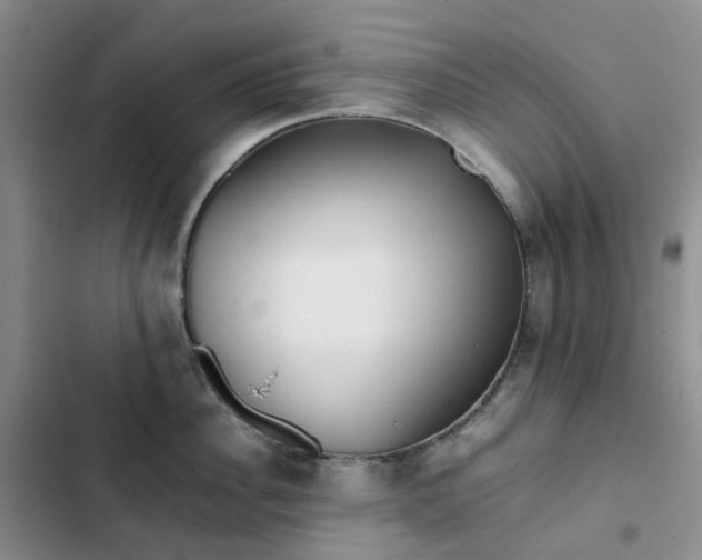 X0000102840956200808181345