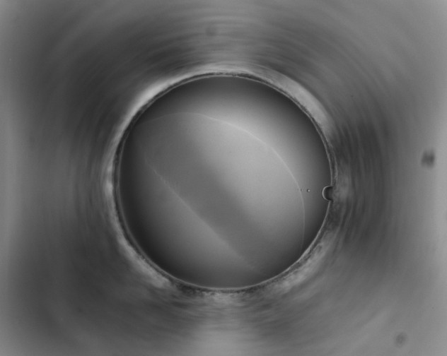 X0000102840958200808181345