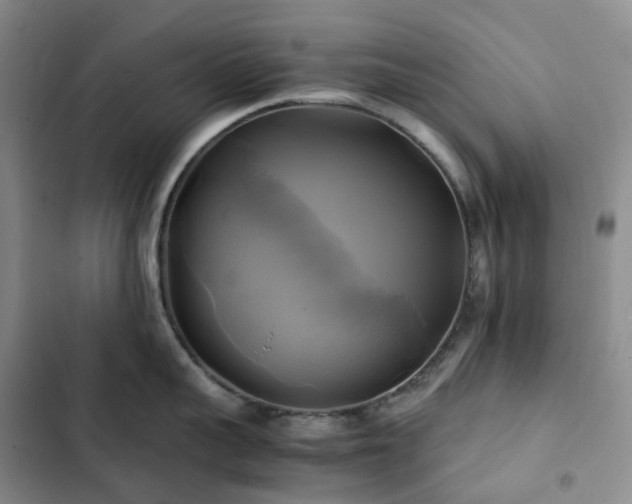 X0000102840959200808181345