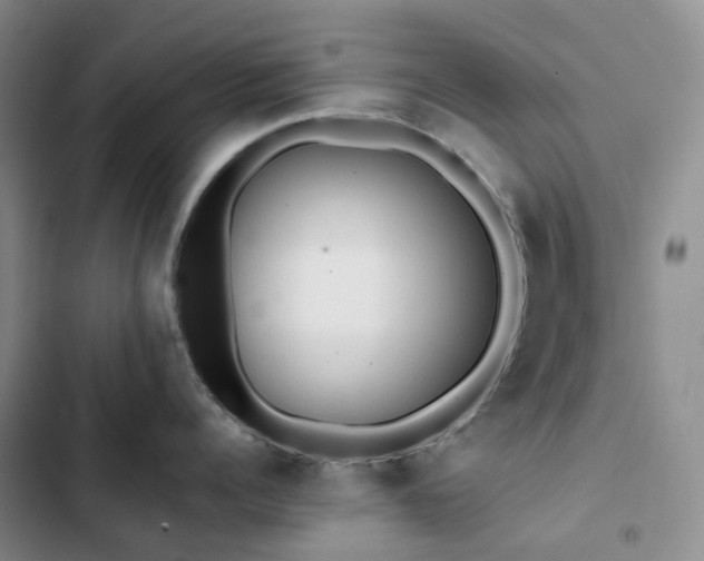 X0000102840960200808181345