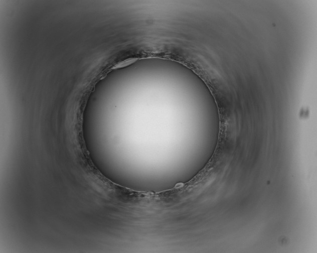 X0000102840961200808181344