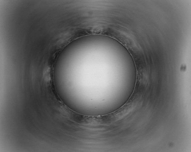 X0000102840962200808181344