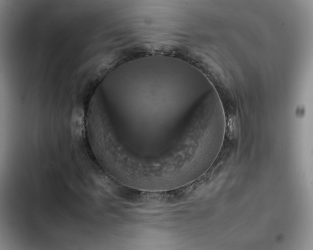 X0000102840963200808181344