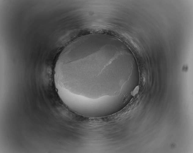 X0000102840964200808181344