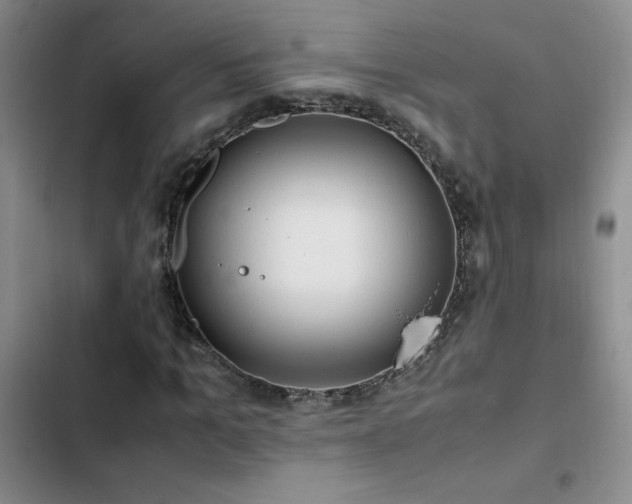 X0000102840965200808181344