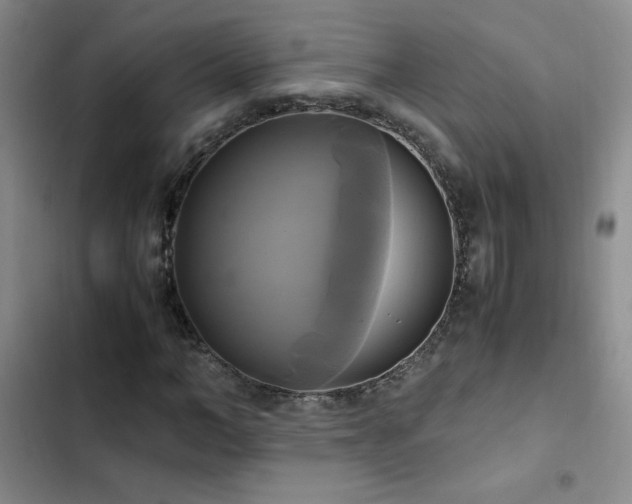 X0000102840966200808181344