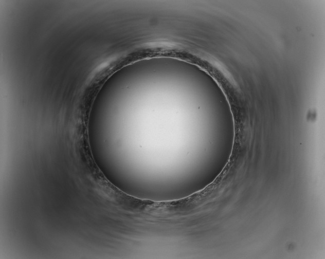 X0000102840967200808181344