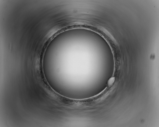 X0000102840969200808181344