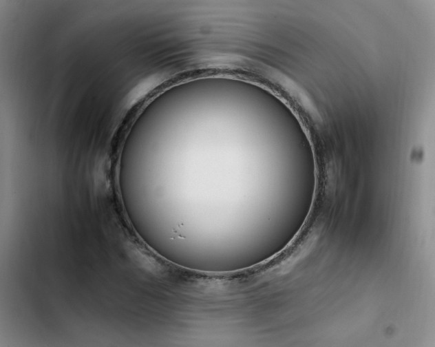 X0000102840970200808181344