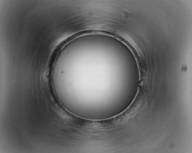 X0000102840971200808181344