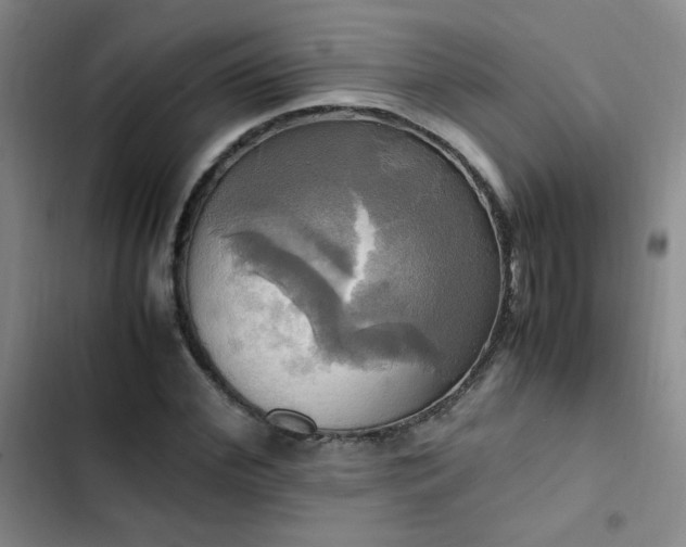 X0000102840972200808181344