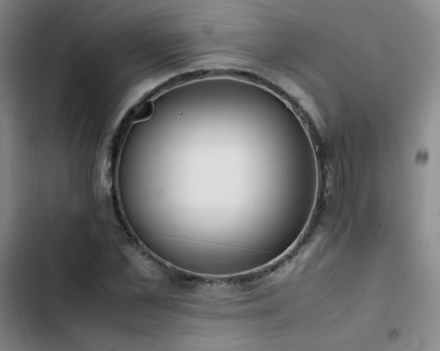 X0000102840973200808181344