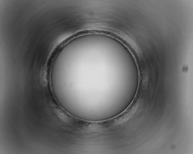 X0000102840974200808181344