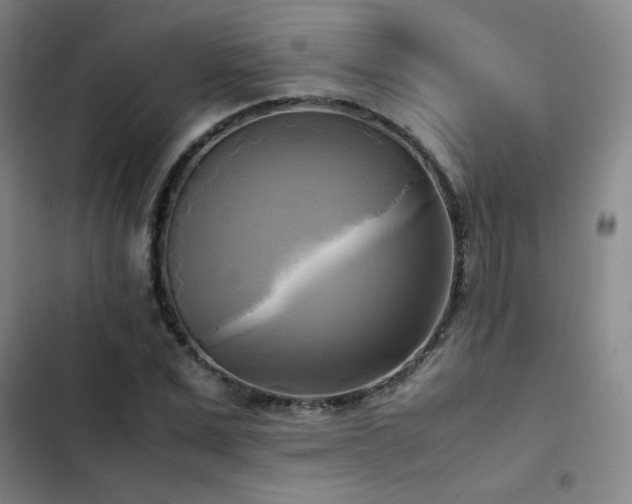 X0000102840975200808181344