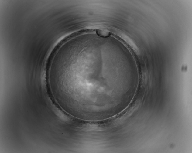 X0000102840976200808181344