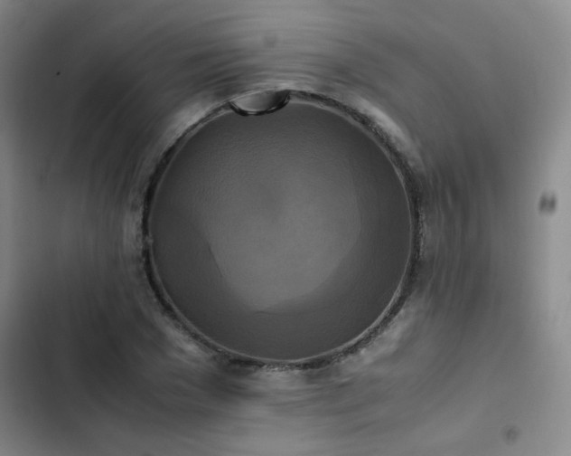 X0000102840977200808181344