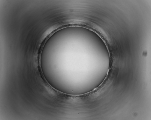 X0000102840978200808181344