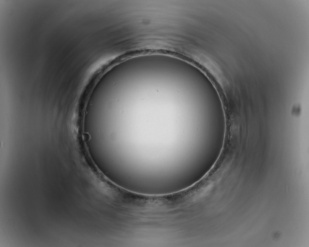 X0000102840979200808181344