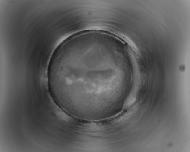 X0000102840980200808181344