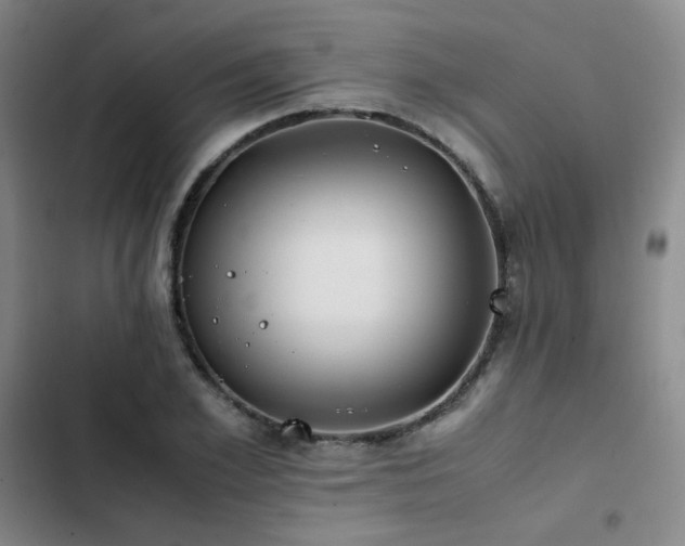 X0000102840981200808181344