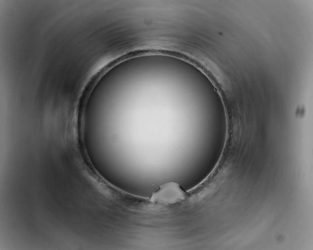 X0000102840982200808181344