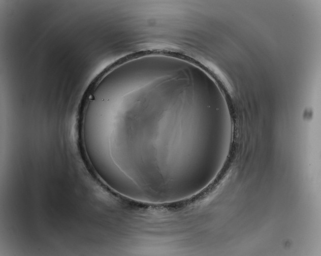 X0000102840983200808181344