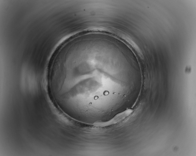 X0000102840984200808181344