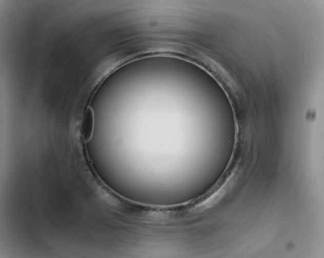 X0000102840985200808181344