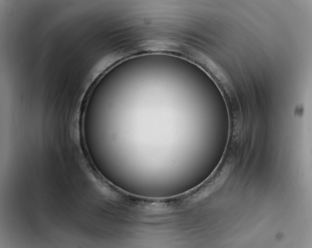 X0000102840986200808181344