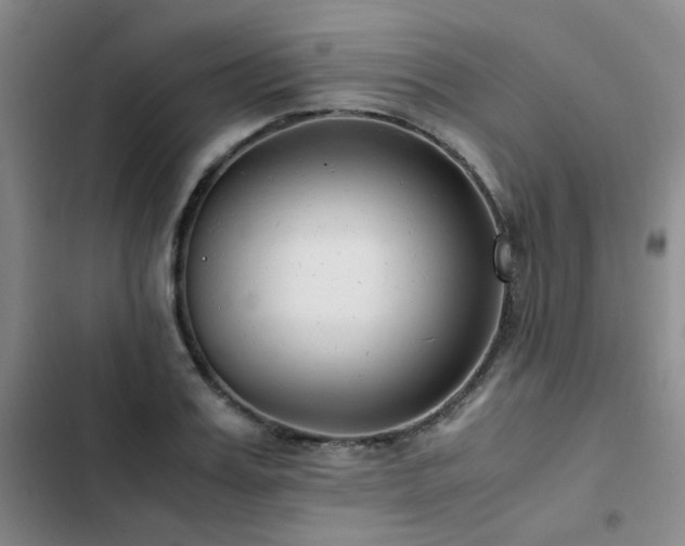 X0000102840987200808181344