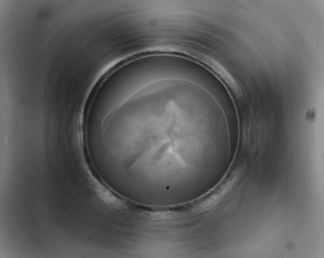 X0000102840988200808181344