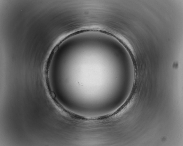 X0000102840989200808181344